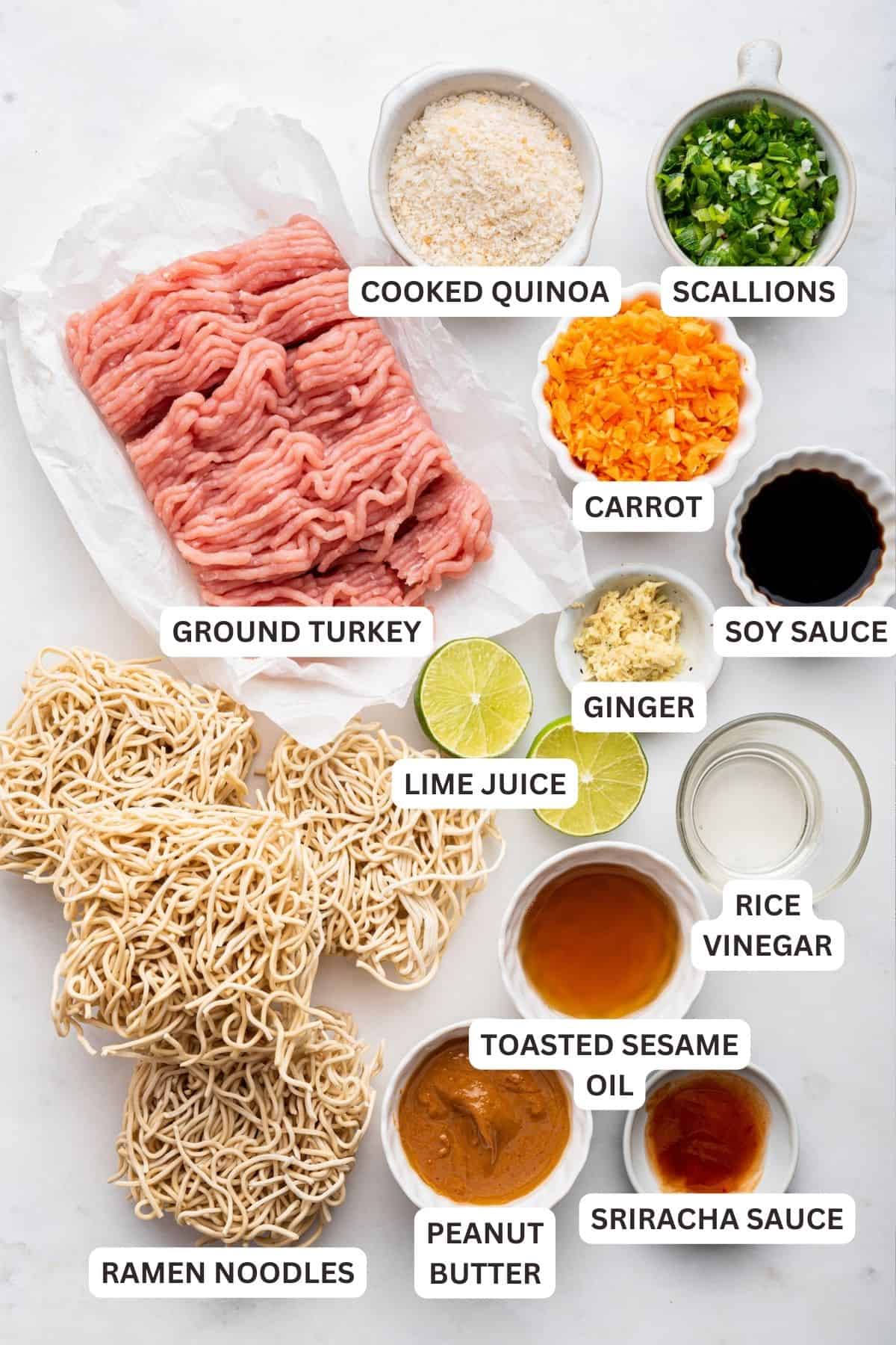 Overhead view of ingredients for Asian turkey meatballs with labels