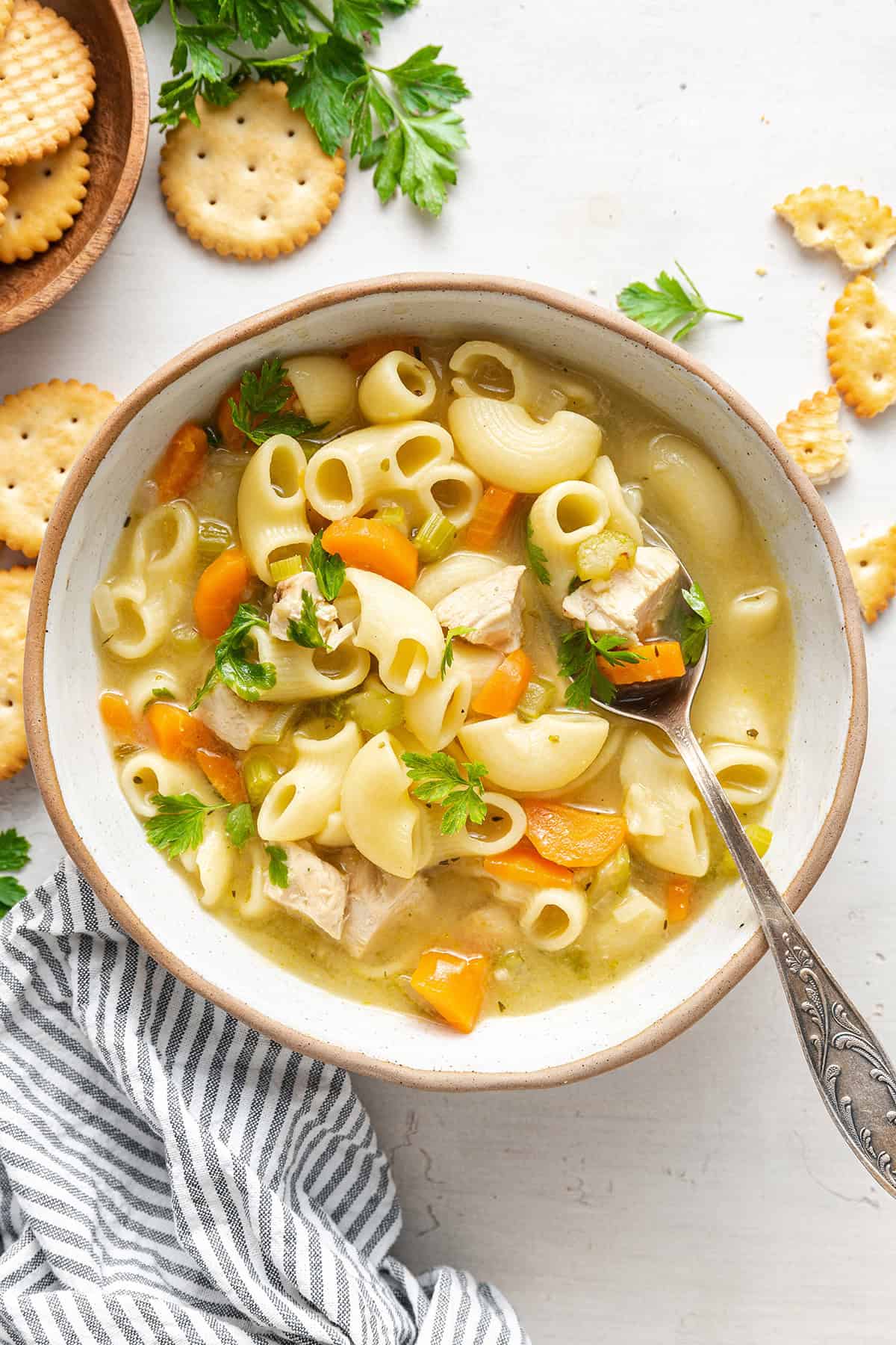 Quick and Easy Chicken Noodle Soup Recipe