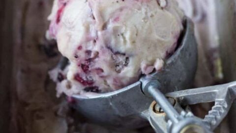 Homewell ice cream online maker