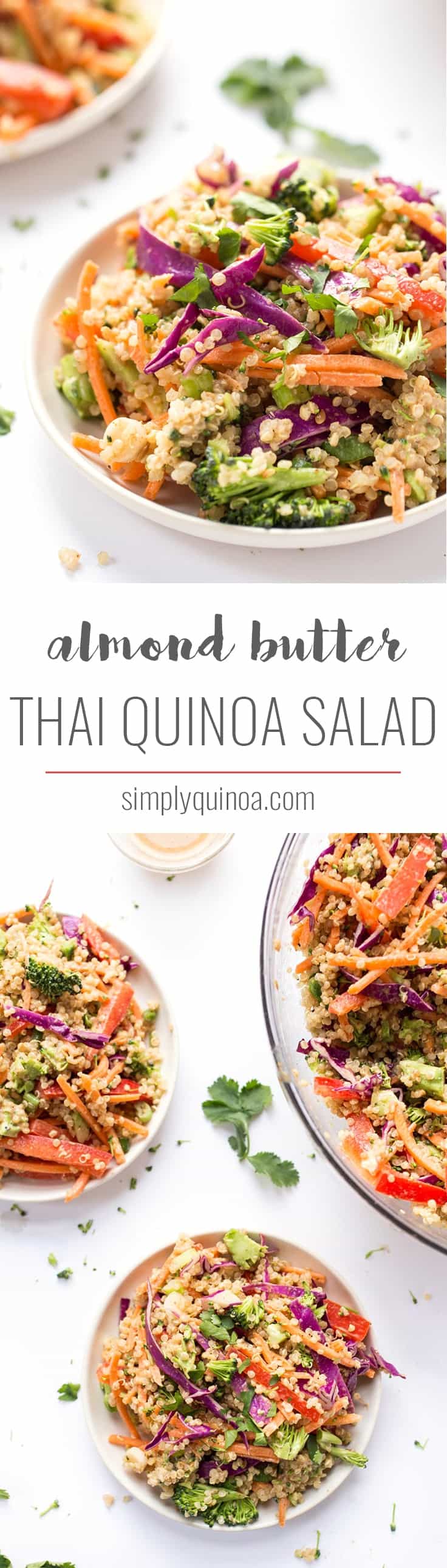 This simple THAI QUINOA SALAD is peppered with a rainbow of veggies and tossed in a creamy almond butter sauce! Tastes like pad thai, but in salad form!