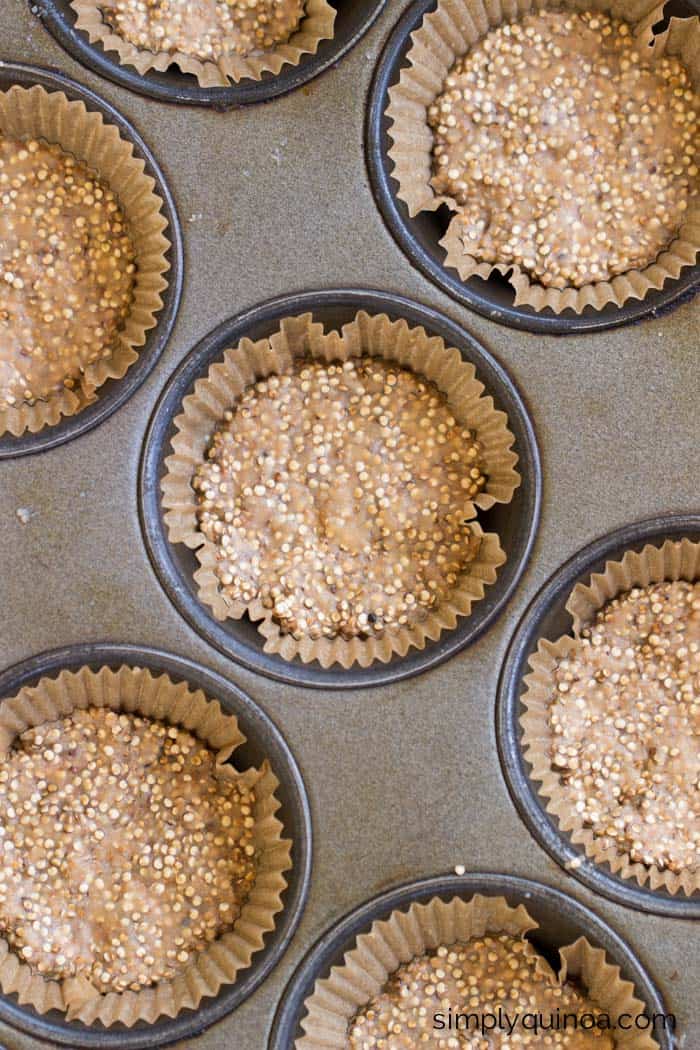 Crunchy Toasted Coconut Quinoa Bites >> only 5 ingredients, naturally sweetened and 100% gluten-free