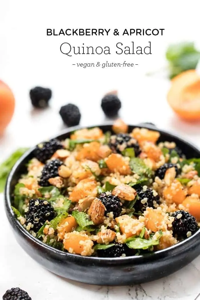 Healthy Quinoa Salad with Apricots & Blackberries