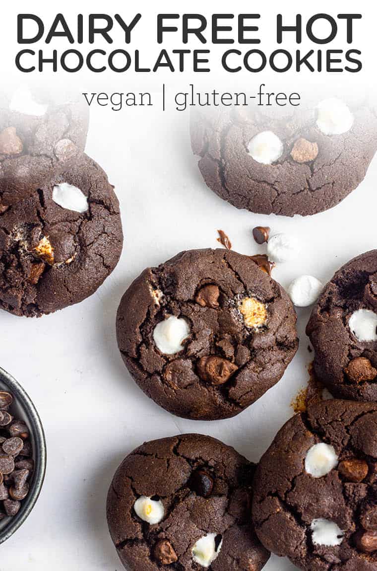 Dairy Free Hot Chocolate Cookies {GF, One Bowl} - Simply Quinoa