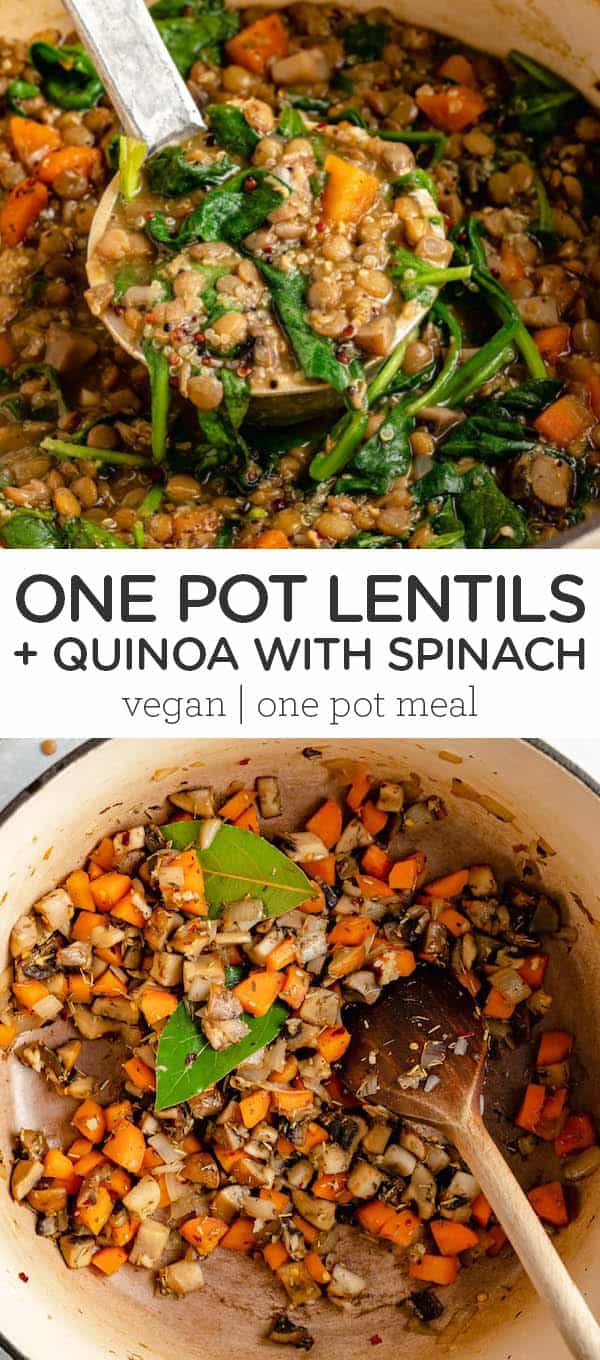 One-Pot Lentils and Quinoa {V & GF} - Simply Quinoa