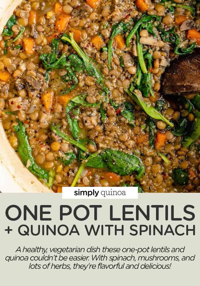 One Pot Lentils And Quinoa V GF Simply Quinoa