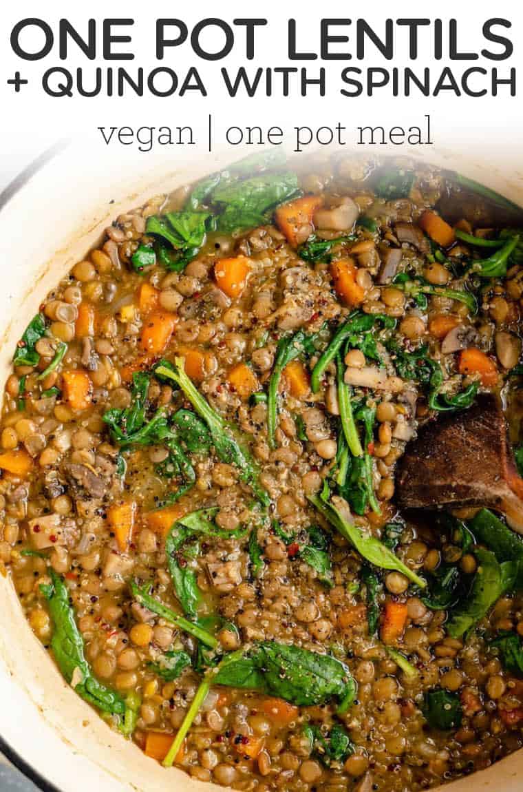 One-Pot Lentils and Quinoa {V & GF} - Simply Quinoa