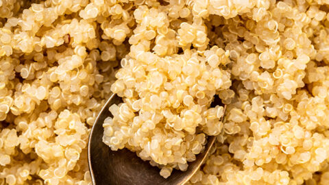 How to Cook Quinoa - The Forked Spoon