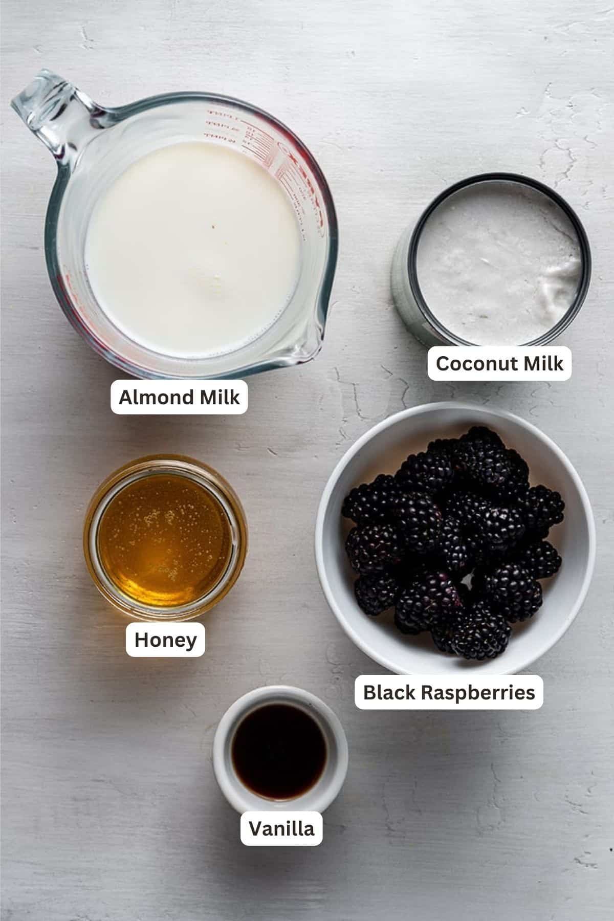 Ingredients for Black Raspberry Ice Cream (Dairy-Free).