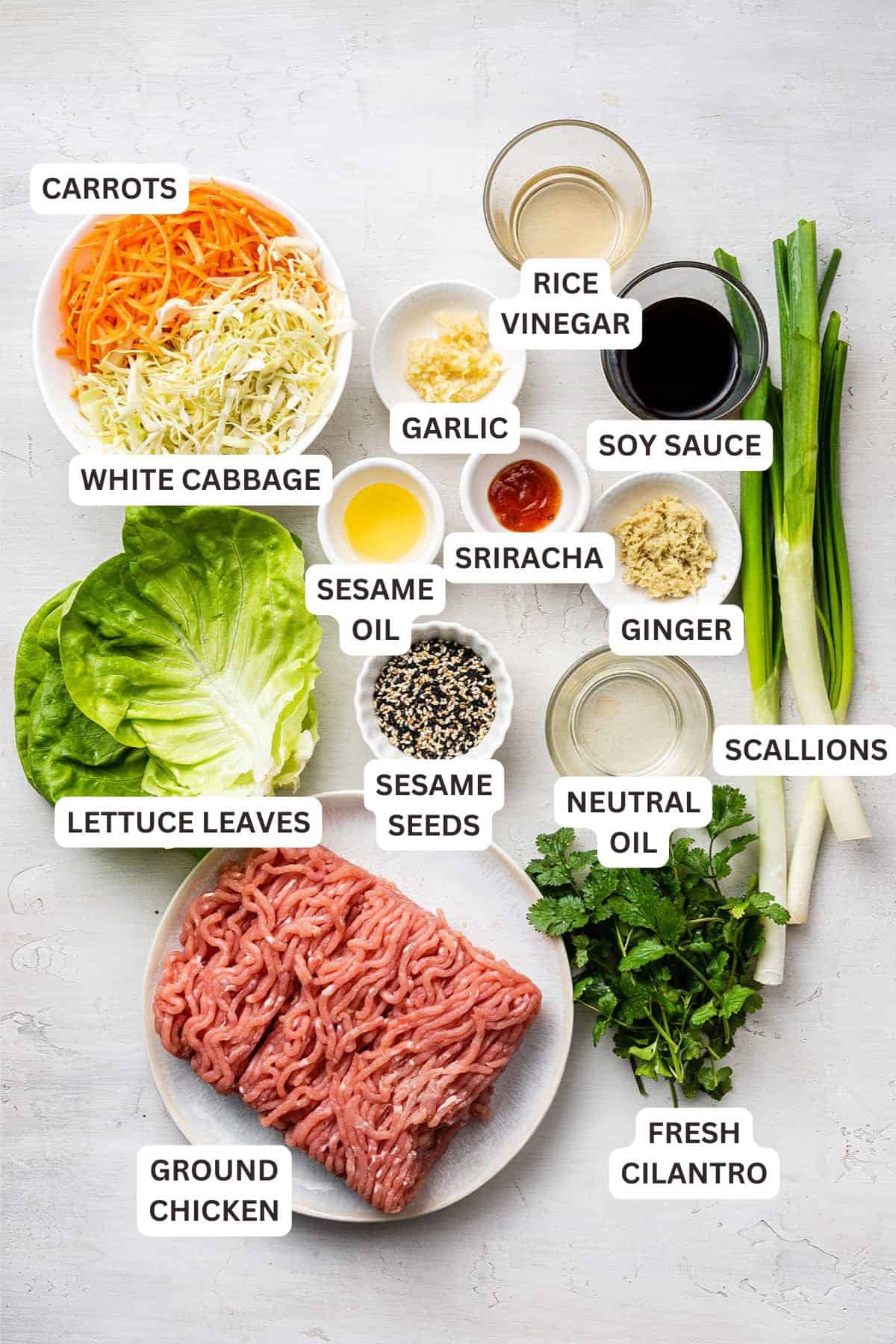 Ingredients for Chicken Lettuce Wraps.