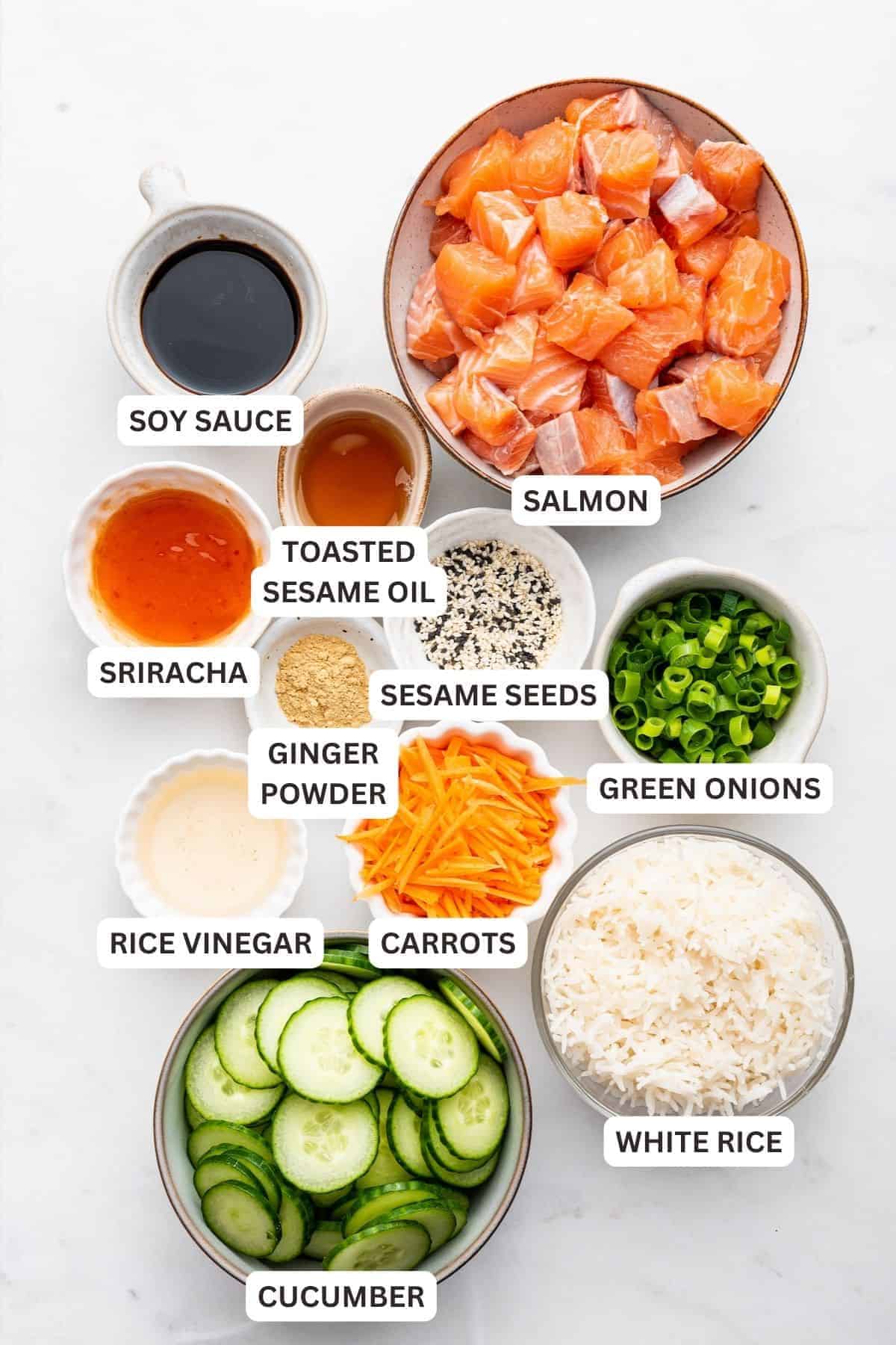 Overhead view of ingredients for salmon bowls with labels