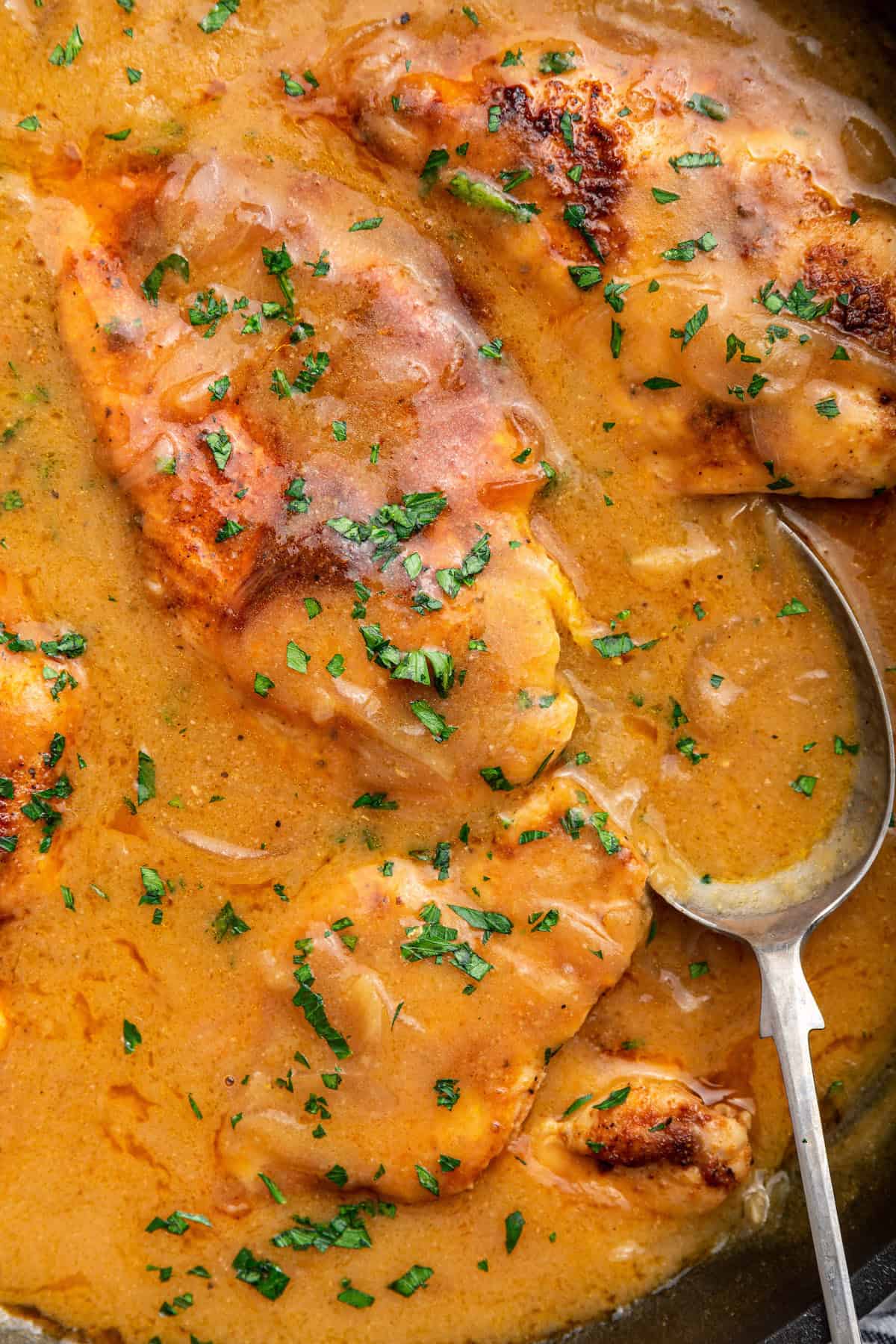 Spoon in skillet of smothered chicken