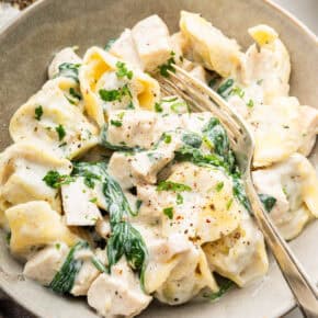 Bowl of chicken tortellini Alfredo with fork