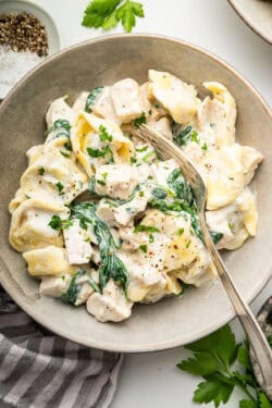 Chicken tortellini Alfredo in bowl with fork