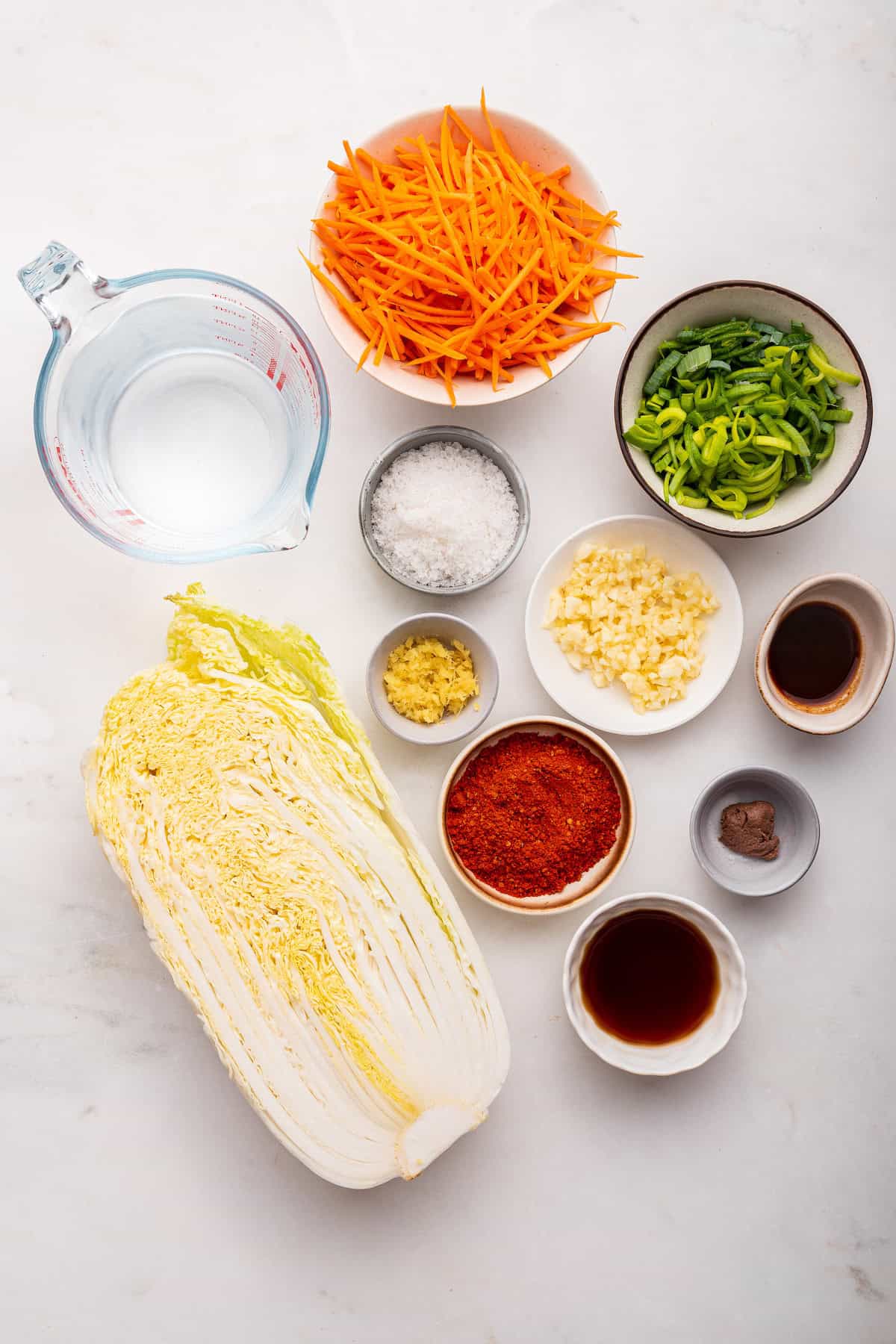 Overhead view of ingredients for kimchi recipe