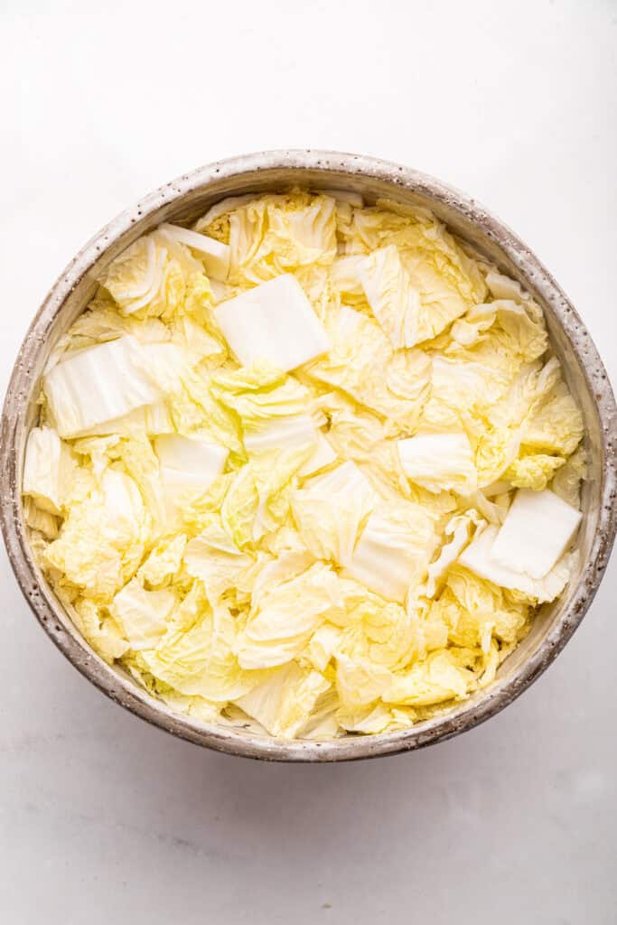 Napa cabbage in bowl of water