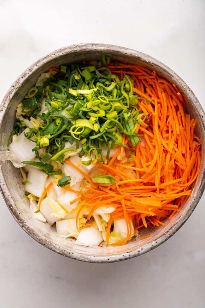 Bowl of vegetables for kimchi recipe